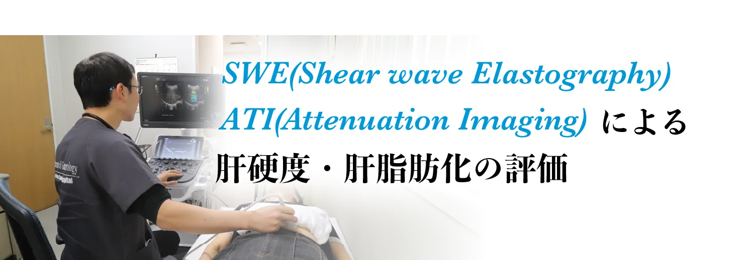 肝硬度、肝脂肪化の評価